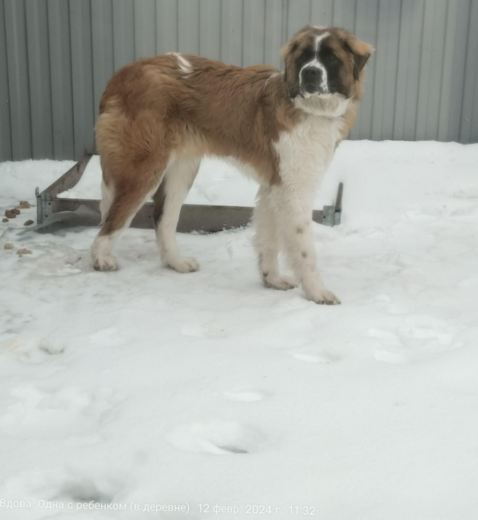 Как мы хотели попасть в караоке, а в итоге устроили караоке дома, у ...