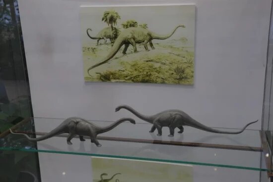    Фото: Олег Серебрянский