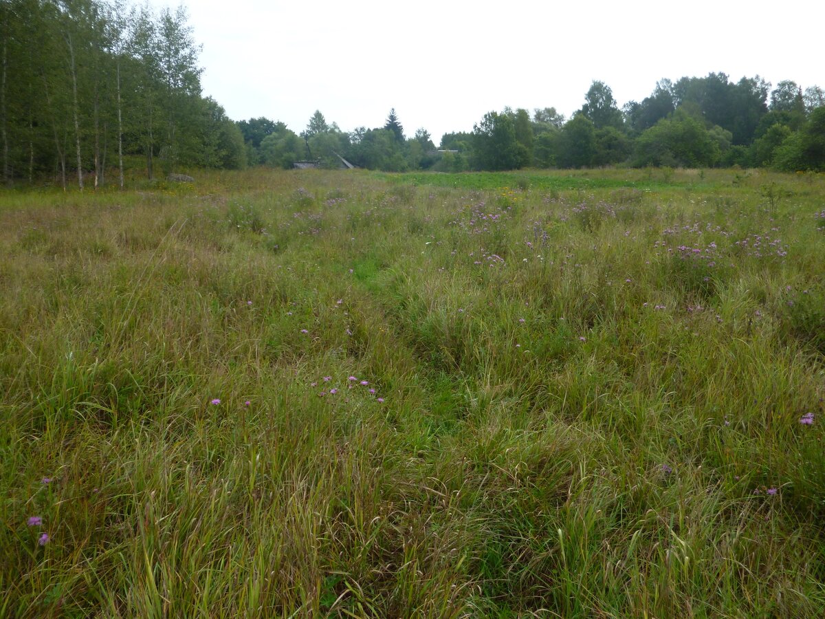 А потом я сдалась ((((