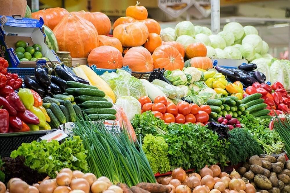 Источник фото: https://yandex.ru/images/