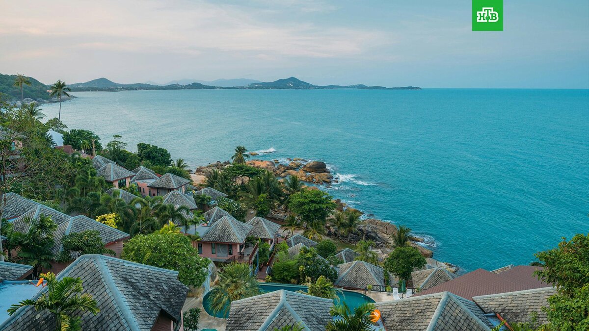    Фото: Yavor Punchev / unsplash.com