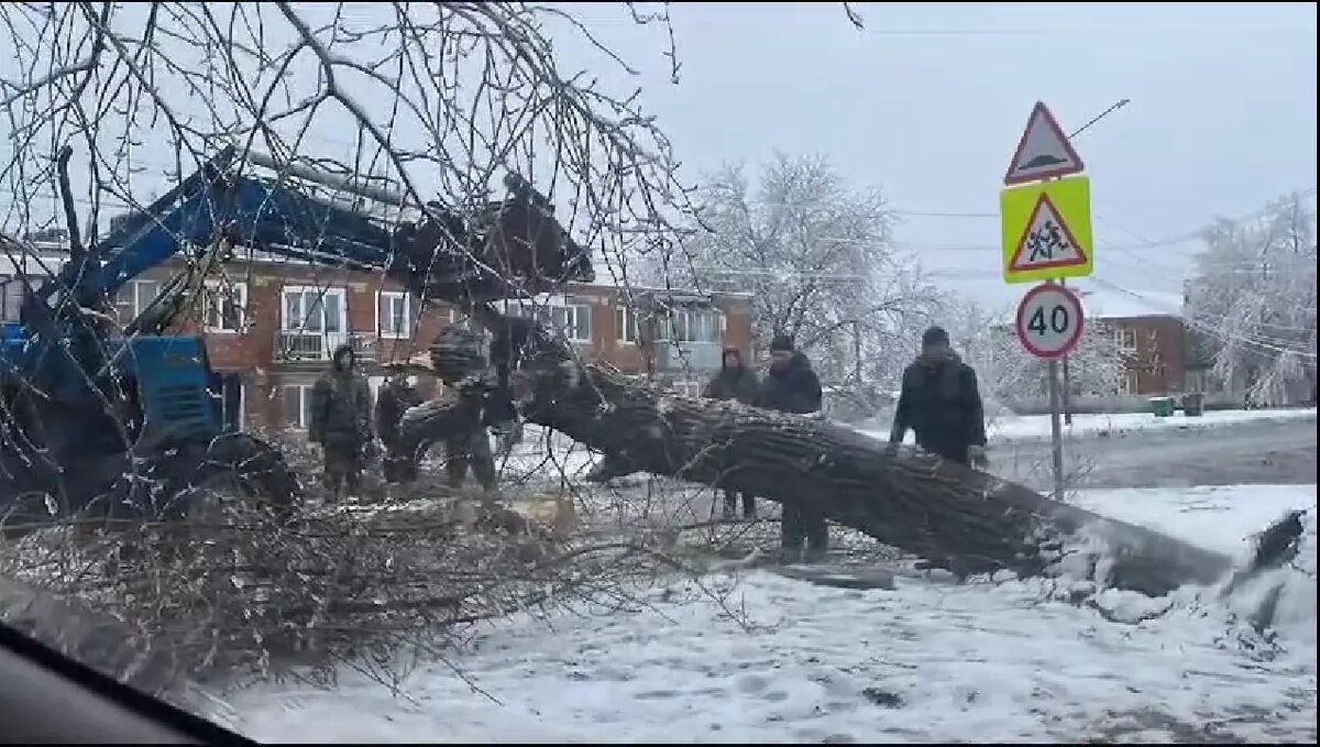     Циклон «Ольга» разбушевался в Ростовской области. Кто назвал мощнейший циклон прекрасным русским именем и как это произошло — выяснил корреспондент RostovGazeta.