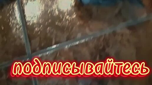 выйду в кухню с котом. только мы с котом на кухню. цитаты со словом еда. выйду ночью в кухню с котом. выйду я на кухню с котом.