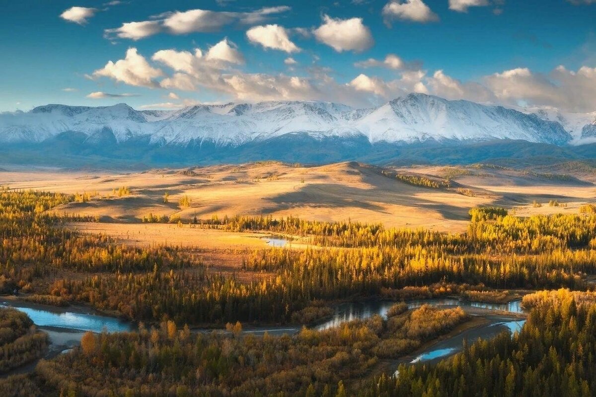 Курайская степь горный Алтай. Золотые горы Алтая Алтайские горы. Смотровая площадка Курайская степь. Золотые горы Алтая ЮНЕСКО.