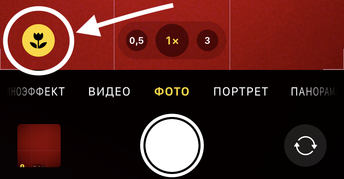 Режим макросъемки в смартфонах