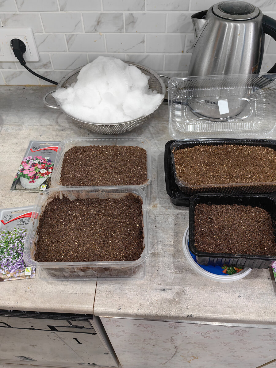 Почва рыхлая и воздушная должна быть, хотите запариться, можно просеять