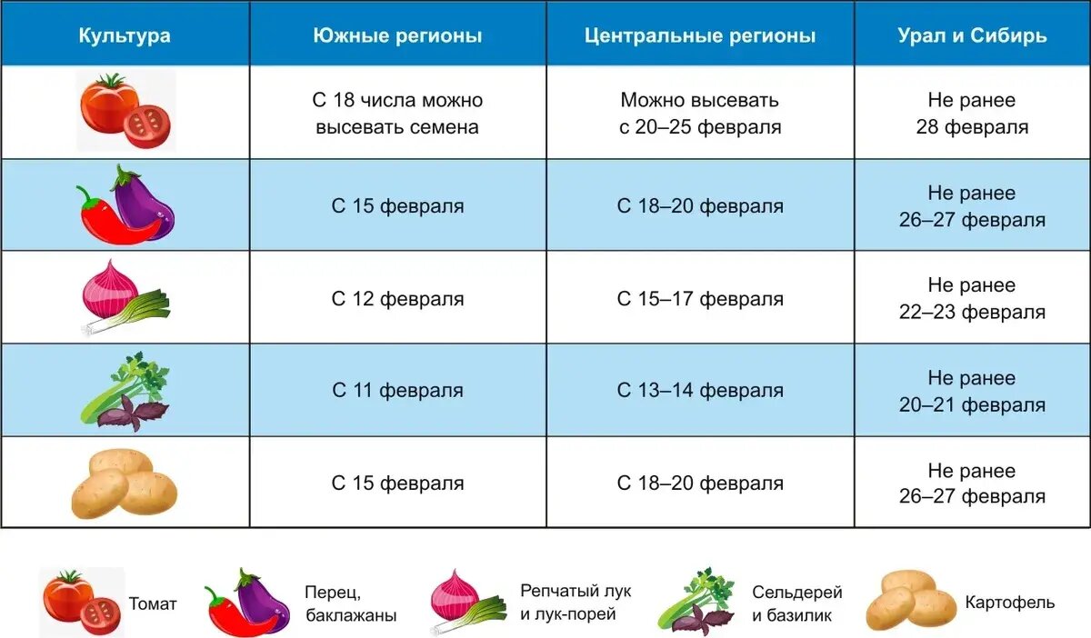 Сроки высадки семян на рассаду. Календарь посева рассады. Дата посадки перца на рассаду. График посева овощей на рассаду.