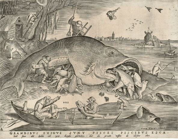 "Большие рыбы поедают малых", 1556 г., Галерея Альбертина, Вена