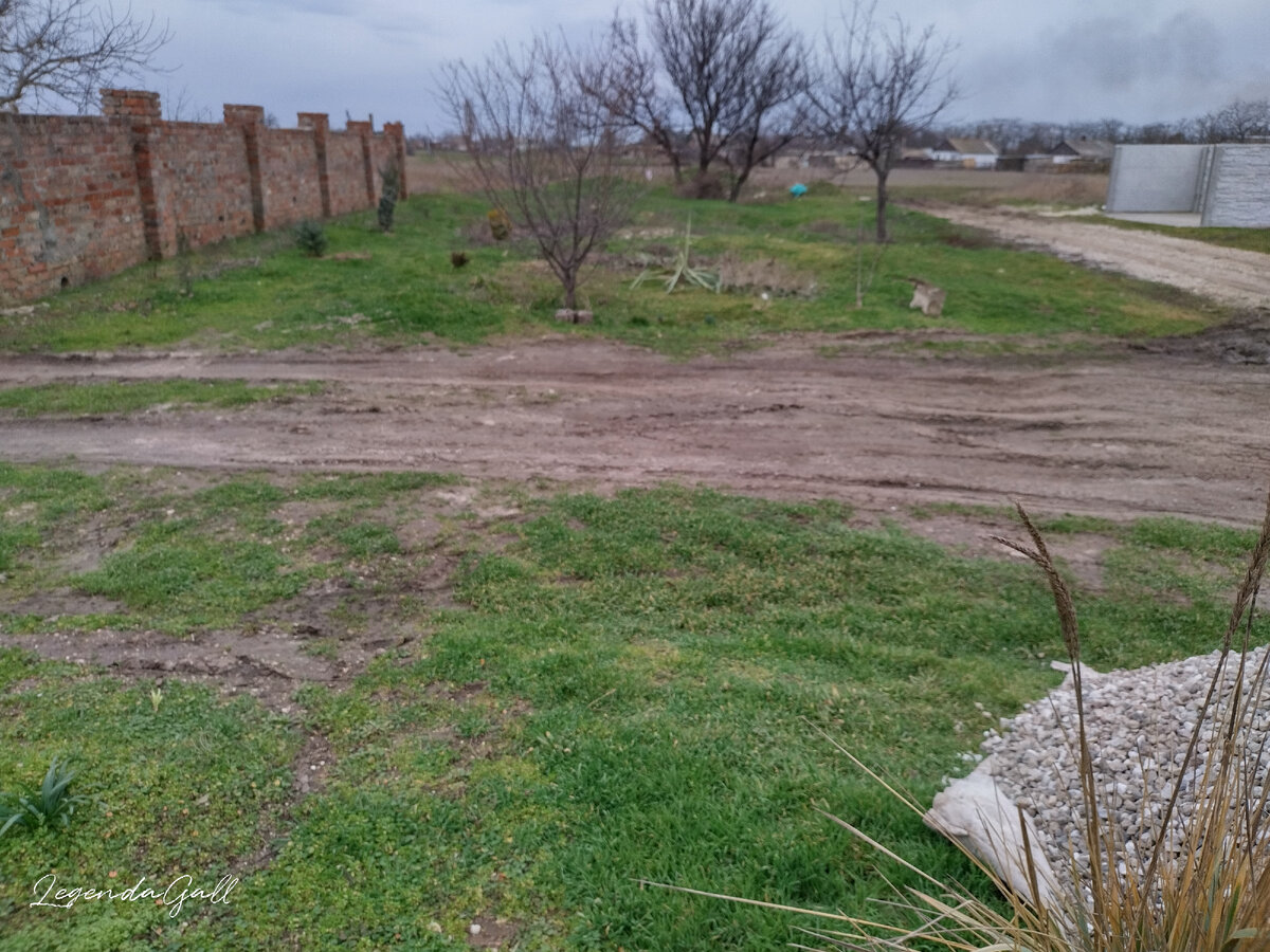 Хорошо, что сухо было неделю, легче выровнять и проще работать