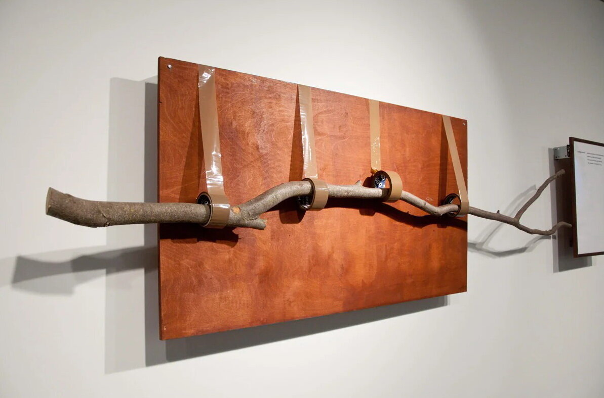 "Ветка". Автор "шедевра" Андрей Монастырский