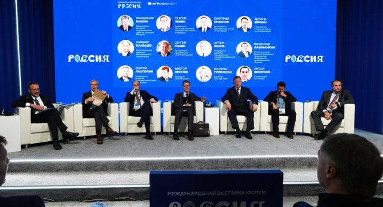    Российское зерно усилит конкуренцию на мировом рынке в 2024/25 маркетинговом году