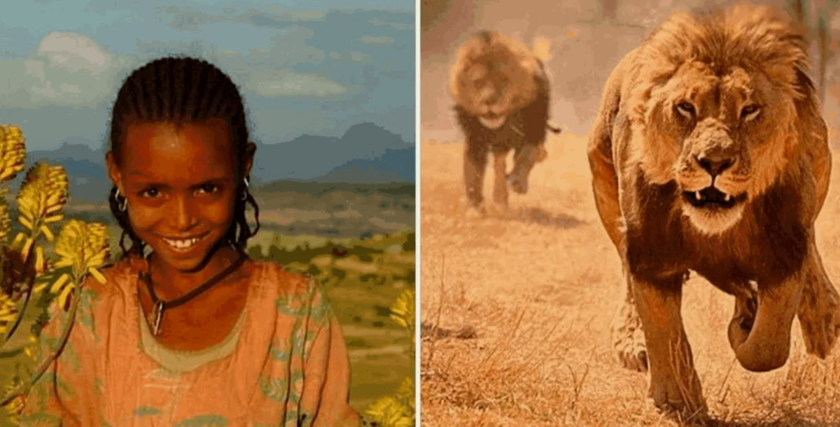 мир мило. Sydney hanson иллюстрации мышка. мир мило. мир мило. магазин мыловарения москва.