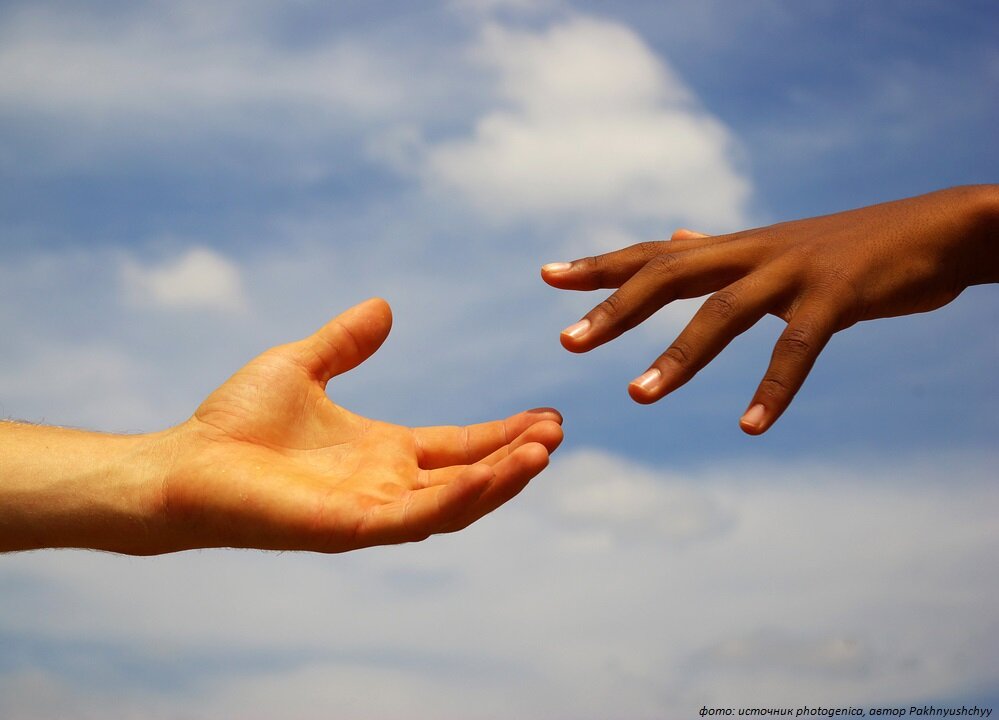 Фото: Pakhnyushchyy / Photogenica