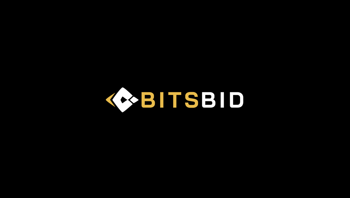 Bitsbid - отзывы и основные показатели работы | Bitsbid | Дзен