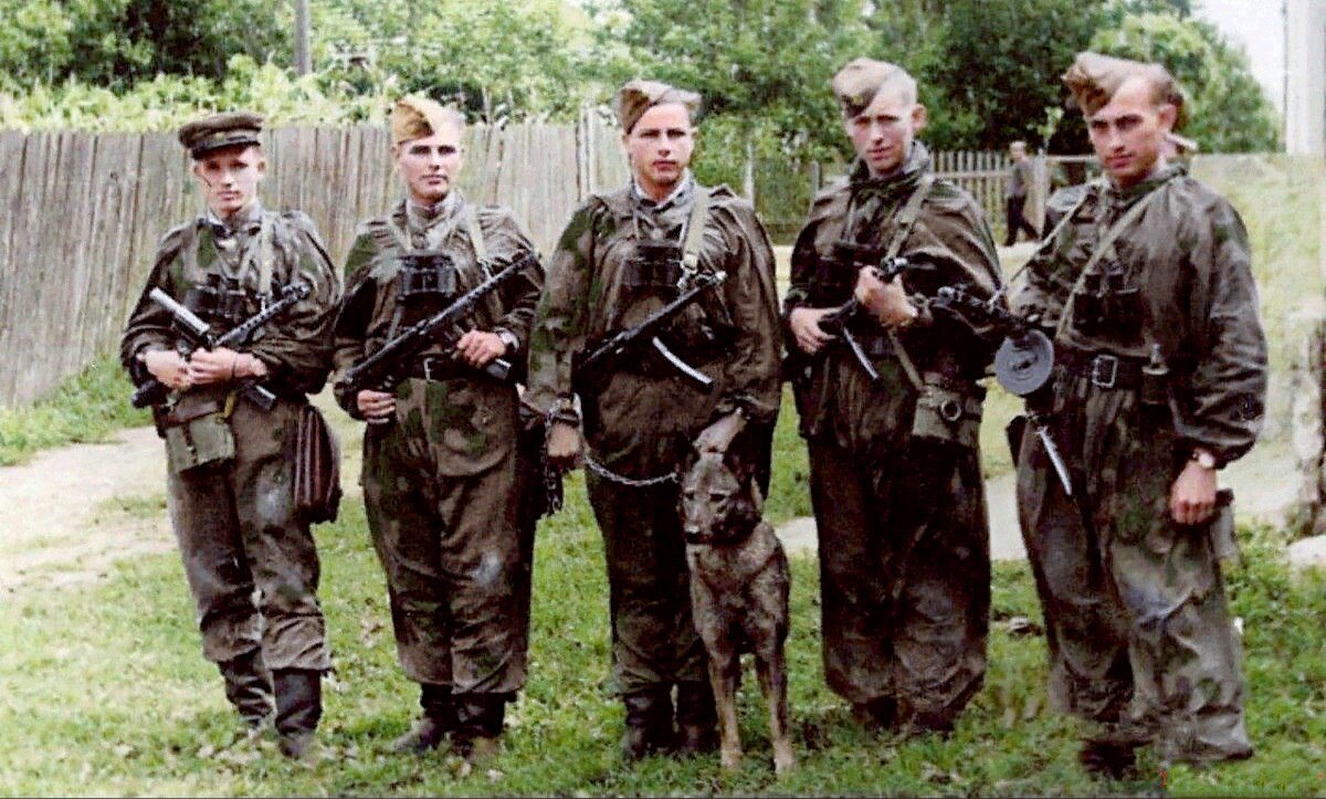 "Волкодавы" – жесткие охотники за группировками коллаборантов (1947-1949 гг.)