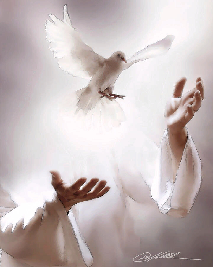 Danny Hahlbohm Jesus. Белый голубь в руках. Голубь Бог. Голубь Святой дух. Душе святый