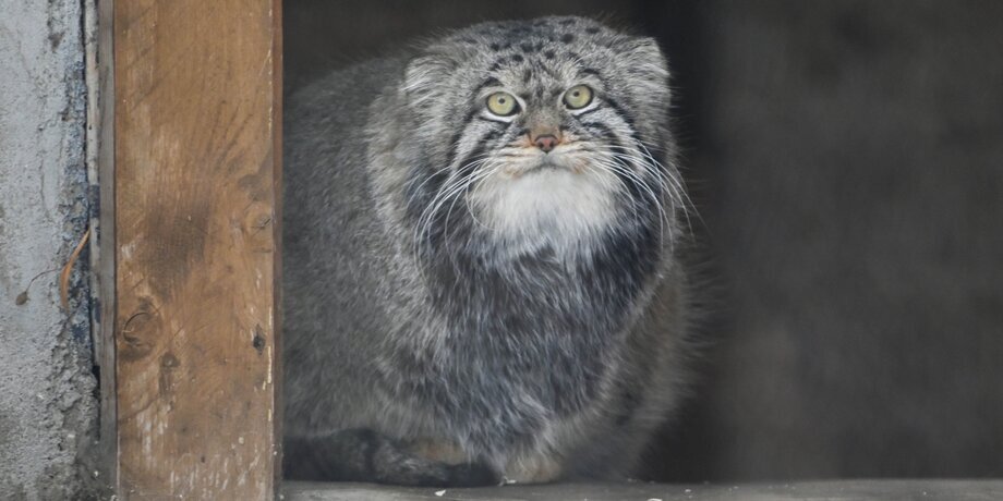 Фото: портал мэра и правительства Москвы/Дарья Мясина 