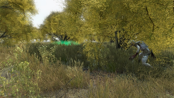 Мутант и аномалия в Припяти