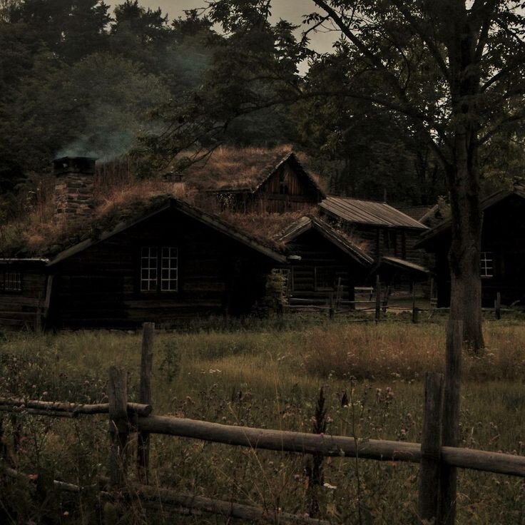 Фото с соц. сетей