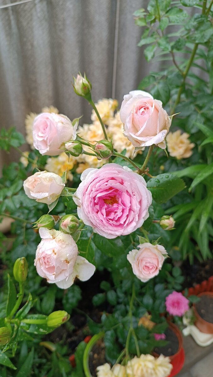 фото Валентины