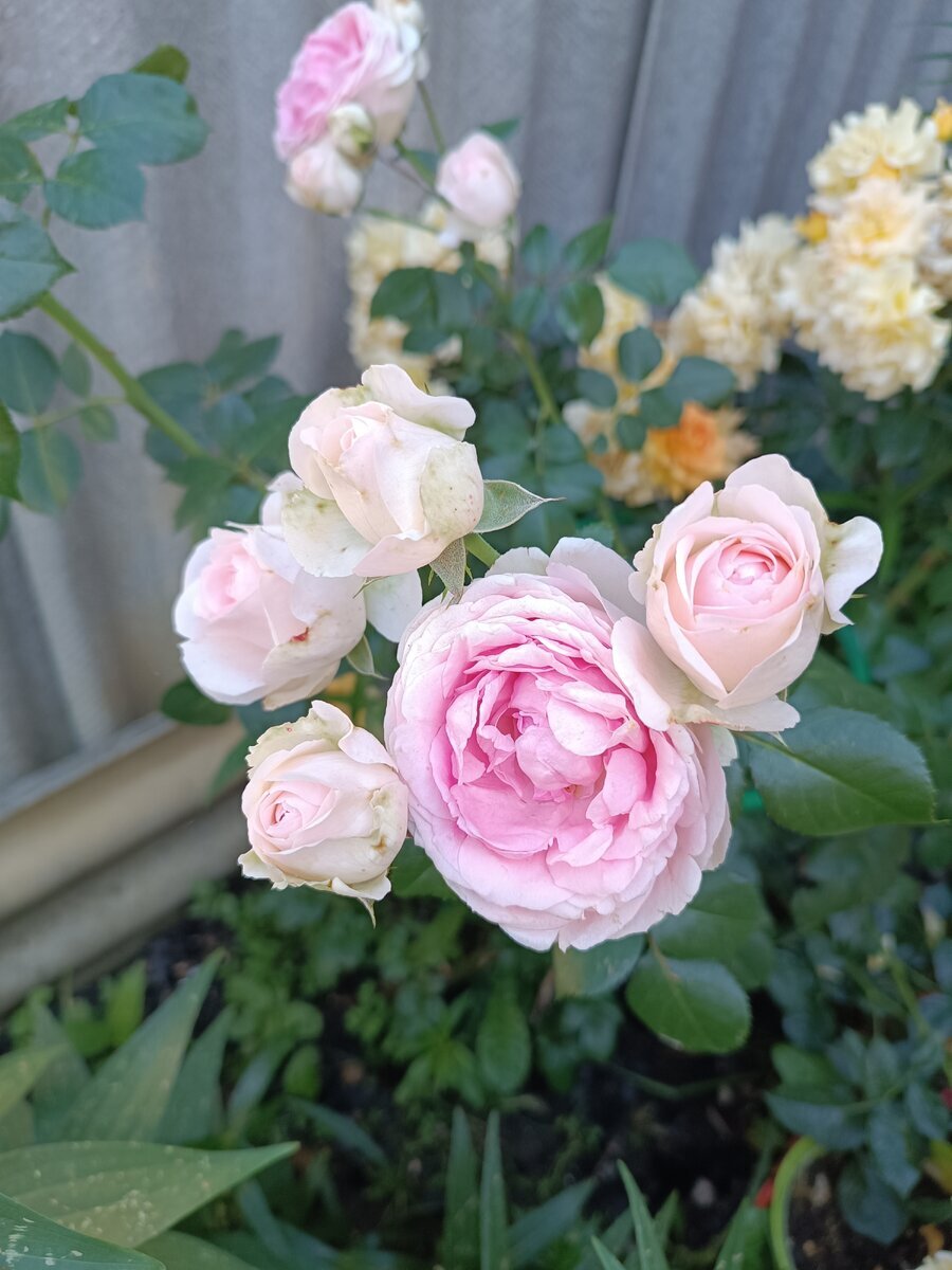 фото Валентины