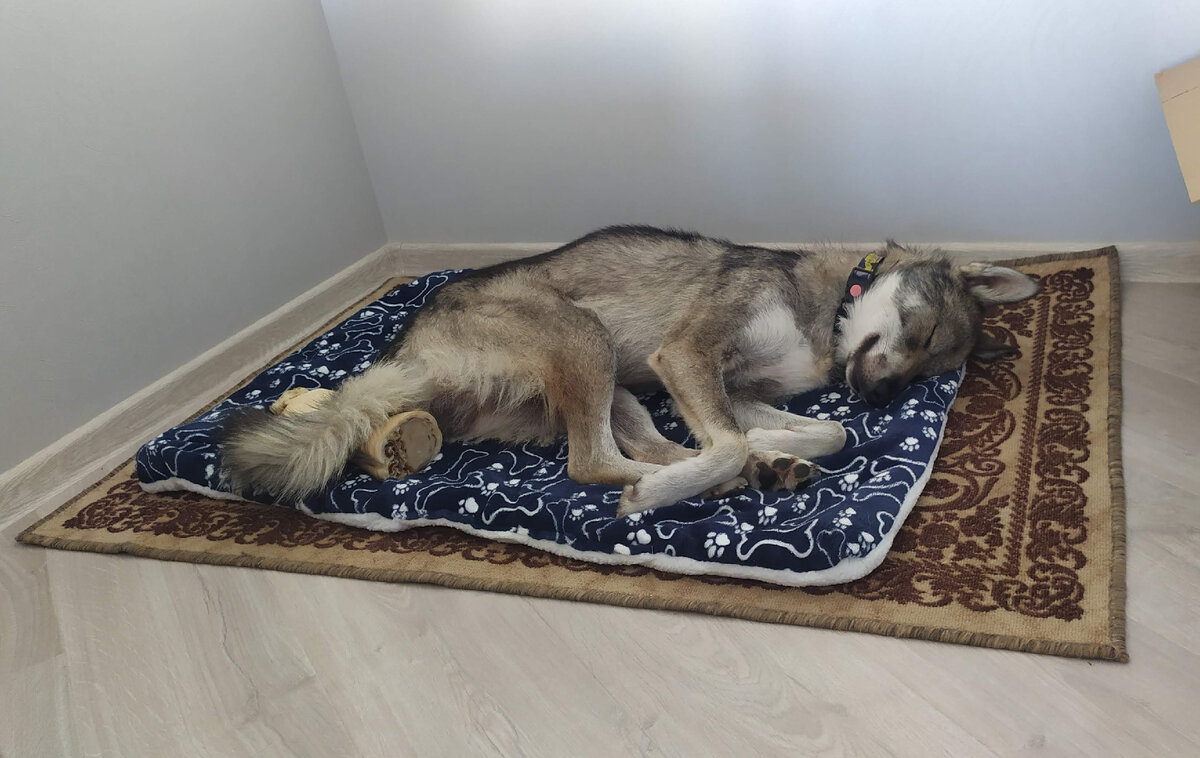 Контроль ситуации.