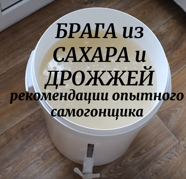 Брага из сахара и дрожжей