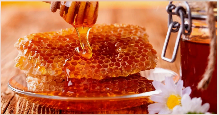 Яндекс.Картинки