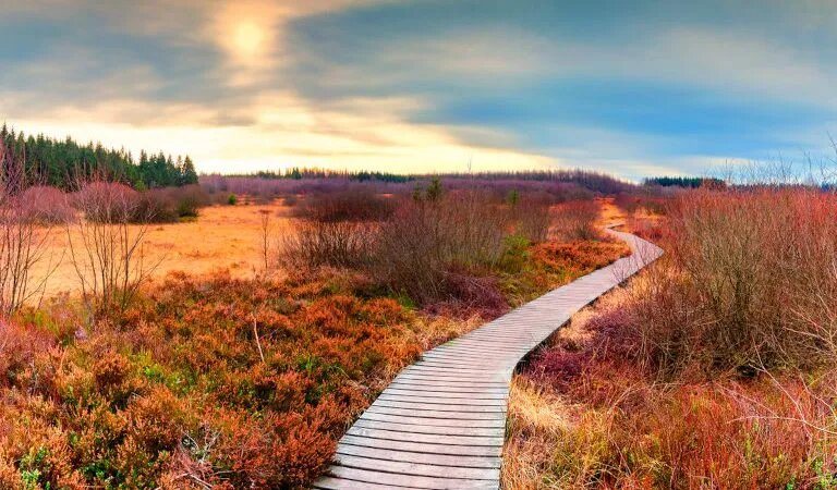 Судьба может определять наш путь, но именно наш моральный облик определяет, как мы по нему идём. (Paulgrecaud via Dreamstime)