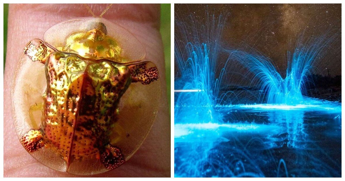 Стихиология. Явление действительности. Подсознание человека. Разум мышление. Хроники акаши пробуждение силы.