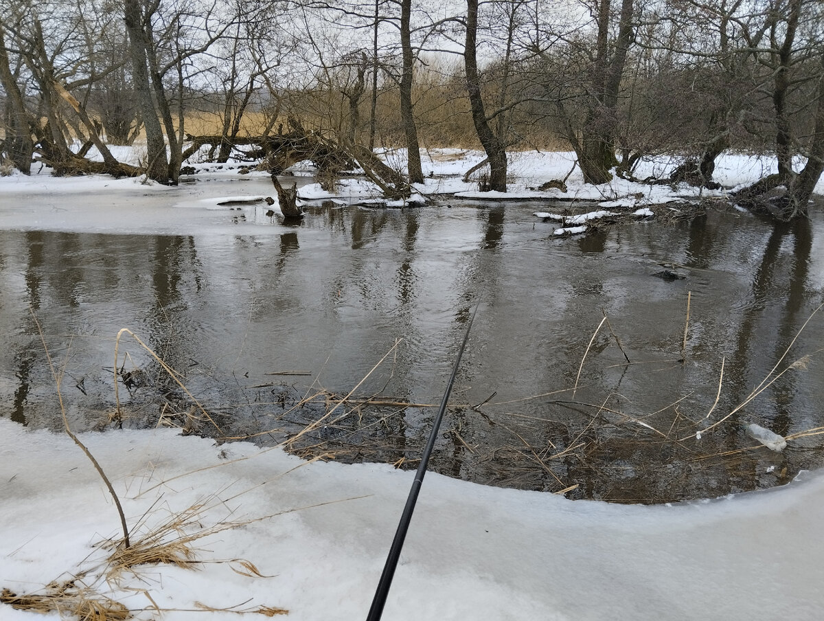 Снежная зима:) Январь 2024г. Ловля плотвы в проводку. река Нельма. Приморск.
