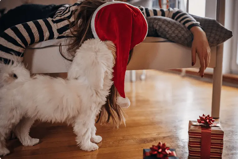 Мое состояние все НГ праздники было примерно таким.) Да и не только в эти праздники, а на протяжении месяца.)