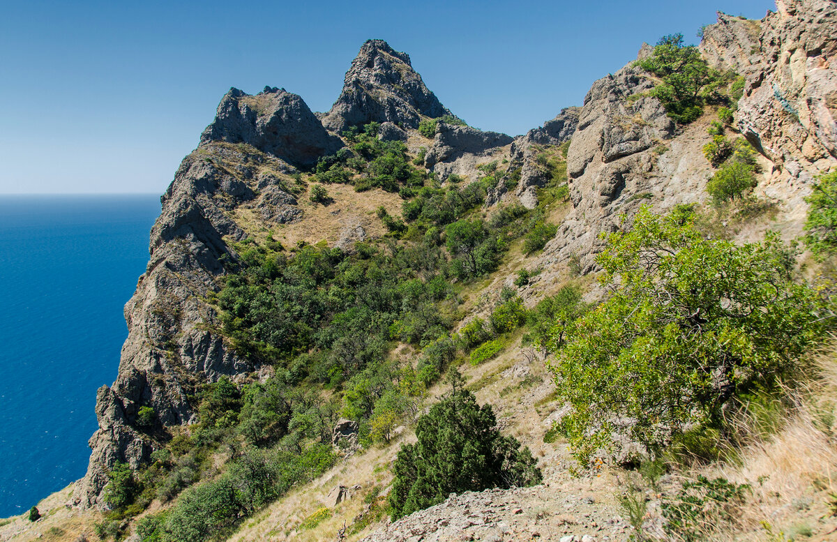 Подъем скользящим шагом. Подъем в гору какие. Преодоление подъемов на лыжах. Подъем в гору какие. Способы преодоления подъемов и спусков на лыжах.