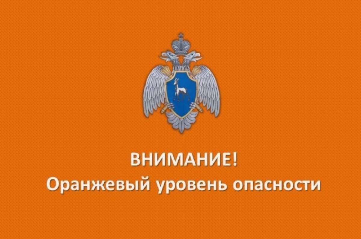    13 февраля в Самарской области ожидается снег, сильные гололед и гололедица