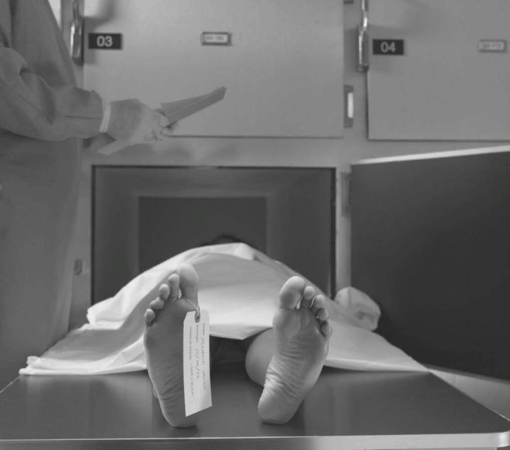 Картинка взята с открытого источника https://avatars.mds.yandex.net/get-images-cbir/2330530/MvsjU9sYNuAnAcY6vferPQ3992/ocr Картинка взята с интернета https://avatars.mds.yandex.net/get-images-cbir/2330530/MvsjU9sYNuAnAcY6vferPQ3992/ocr