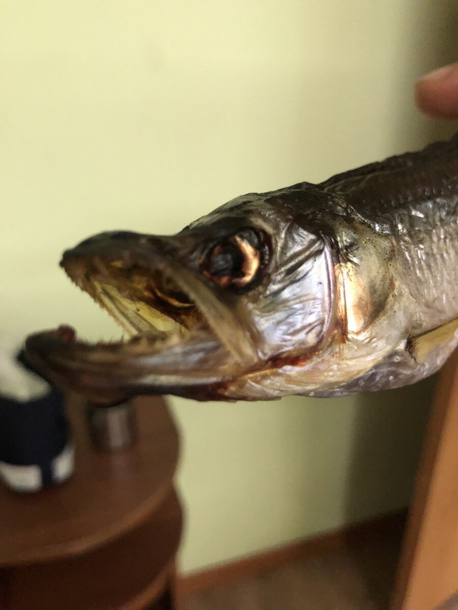 Сушеная и свежая корю