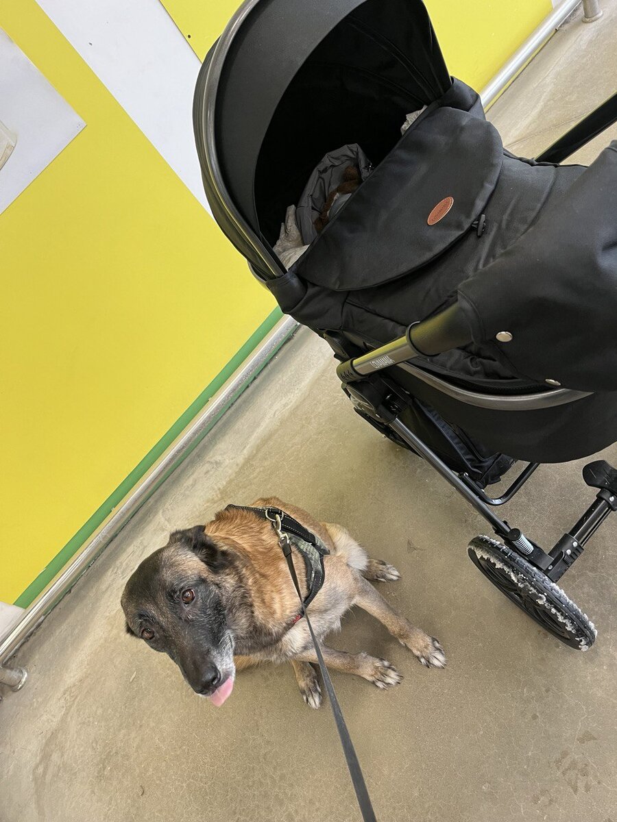 Коляску пожалуйста, но то, что внутри не застрахованно компанией "клац-клац"