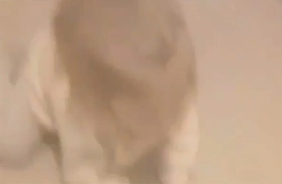 «Пусть в скорую идет»: появилось видео убийства мужчины в Шахтах