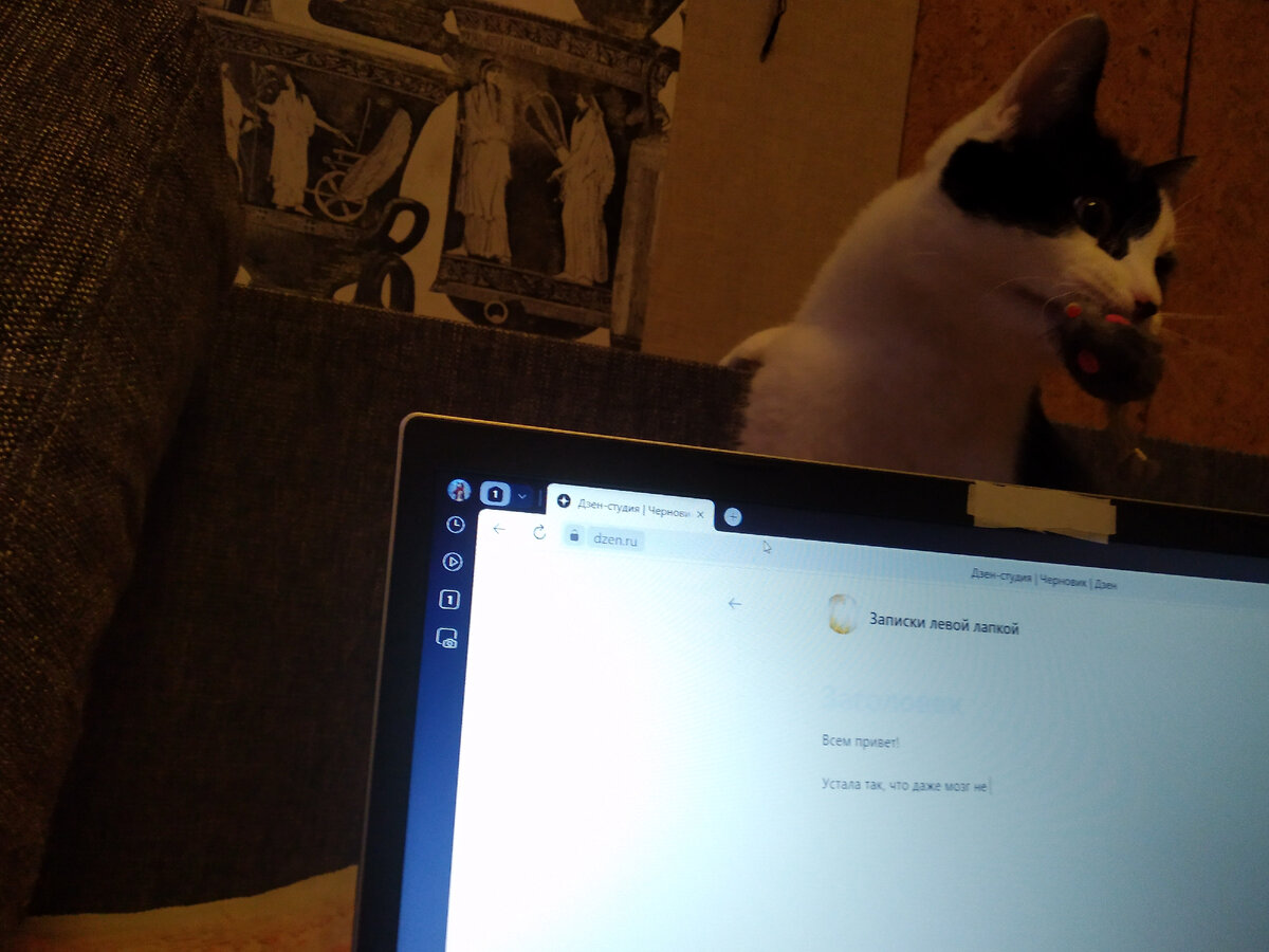 кошка играет со своей мышкой))