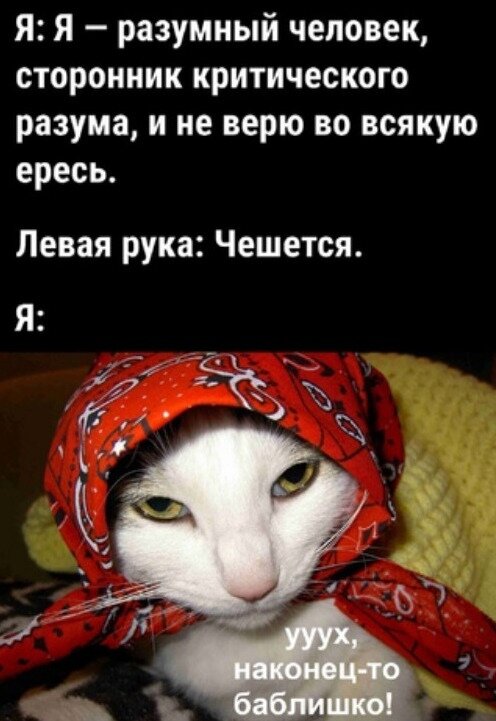 прикольные обои. прикольные аватарки. смешные заставки на телефон. веселые картины на пляже. забавнейшая тема.