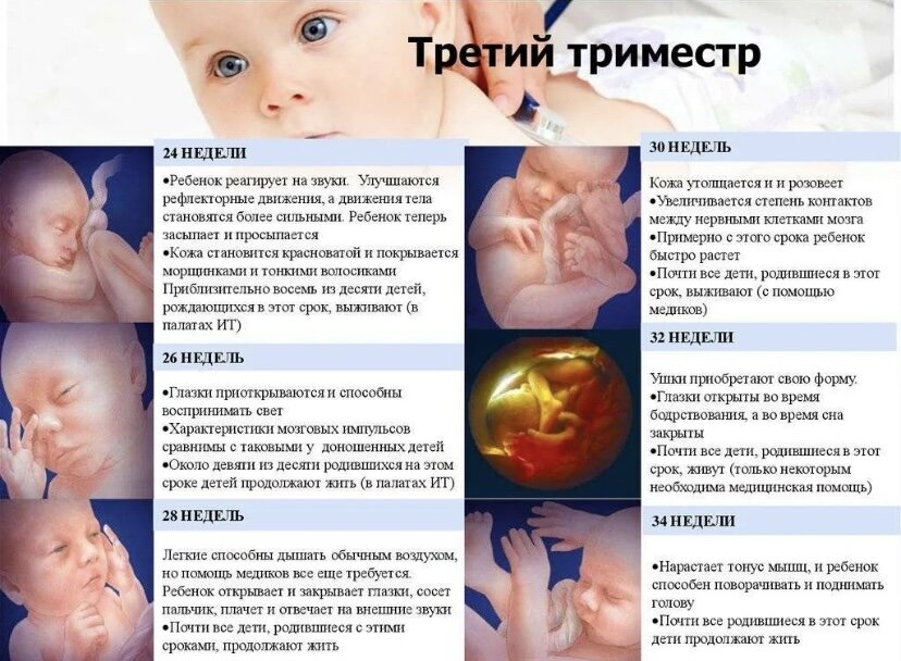 Третий триммер беременности. Первый второй и третий триместр беременности. Ощущения третьего триместра. 3 третий триместр беременности. Первый триместр беременности в неделях.