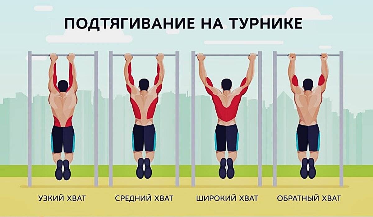 Что нужно знать о Турнике? | АНДРЕЙ ЛЮБЕЗНЫЙ|гири,workout,  бодибилдинг,фитесс дома | Дзен