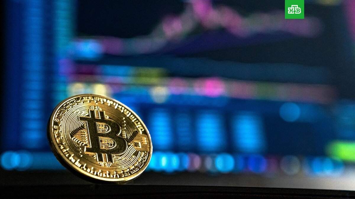    Фото: Andr? Fran?ois McKenzie / unsplash.com