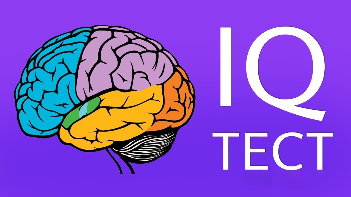 Тест на IQ. Результаты IQ теста. Тест на интеллект. Тест на айкью картинки.