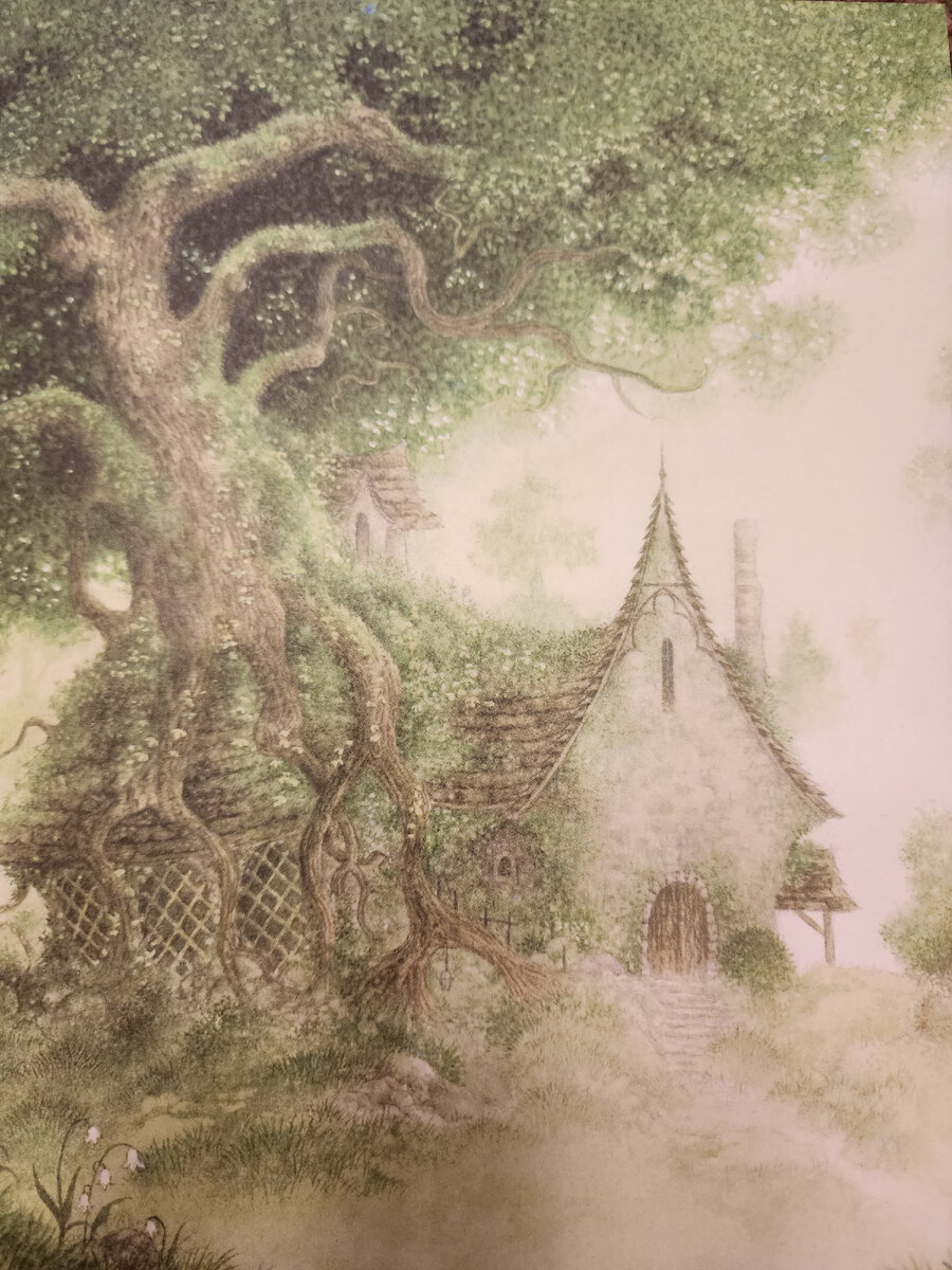 Дом зеленой ведьмы