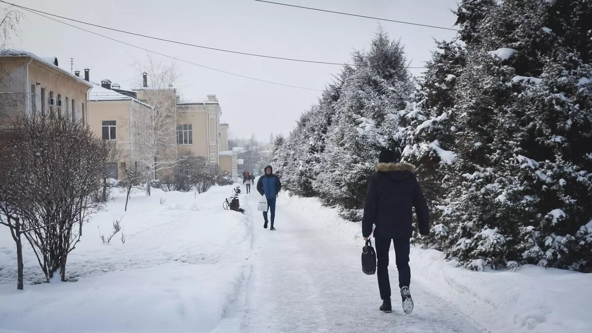     Зима не собирается отступать из Волгоградской области. С середины февраля ударят сильные морозы, по сообщению синоптиков.