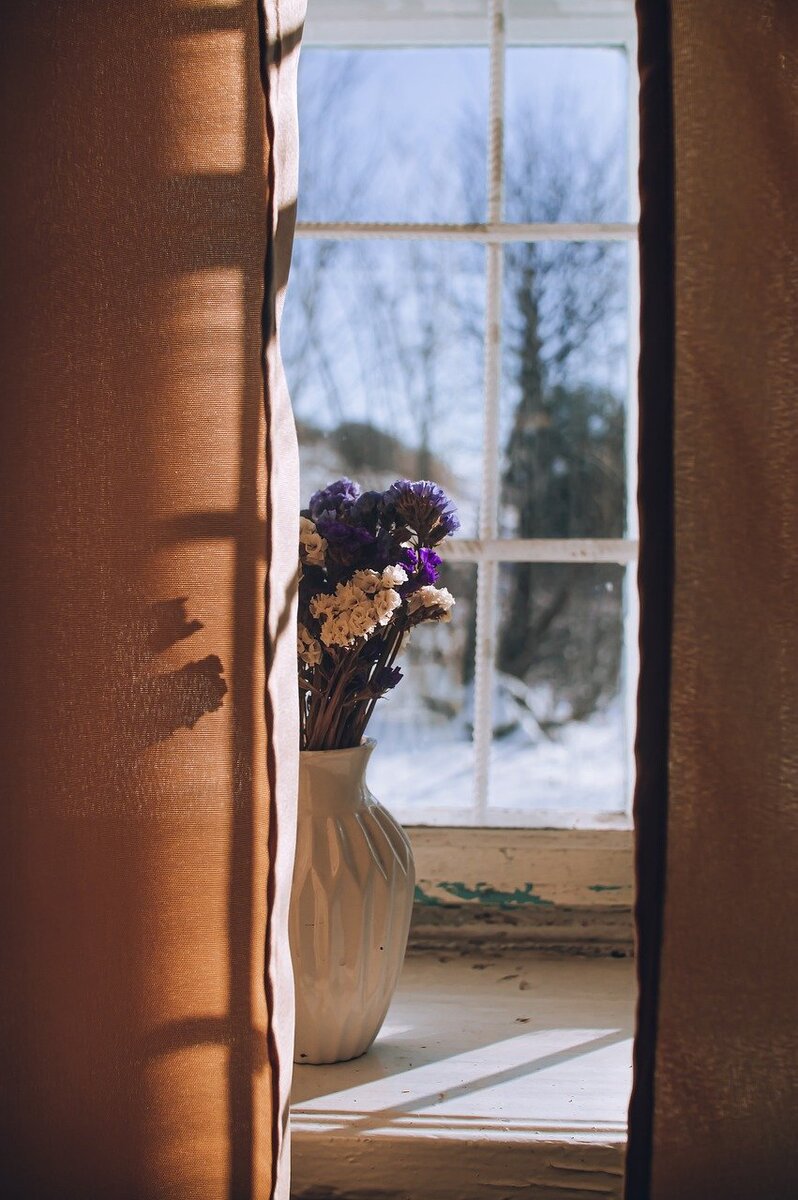 Фотография из открытого источника pixabay com