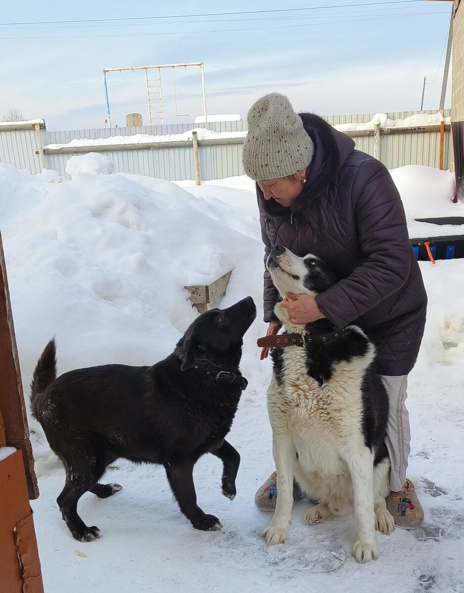 Тимурка- из клана легендышей. Ночка была живым скелетом на цепи без шерсти 