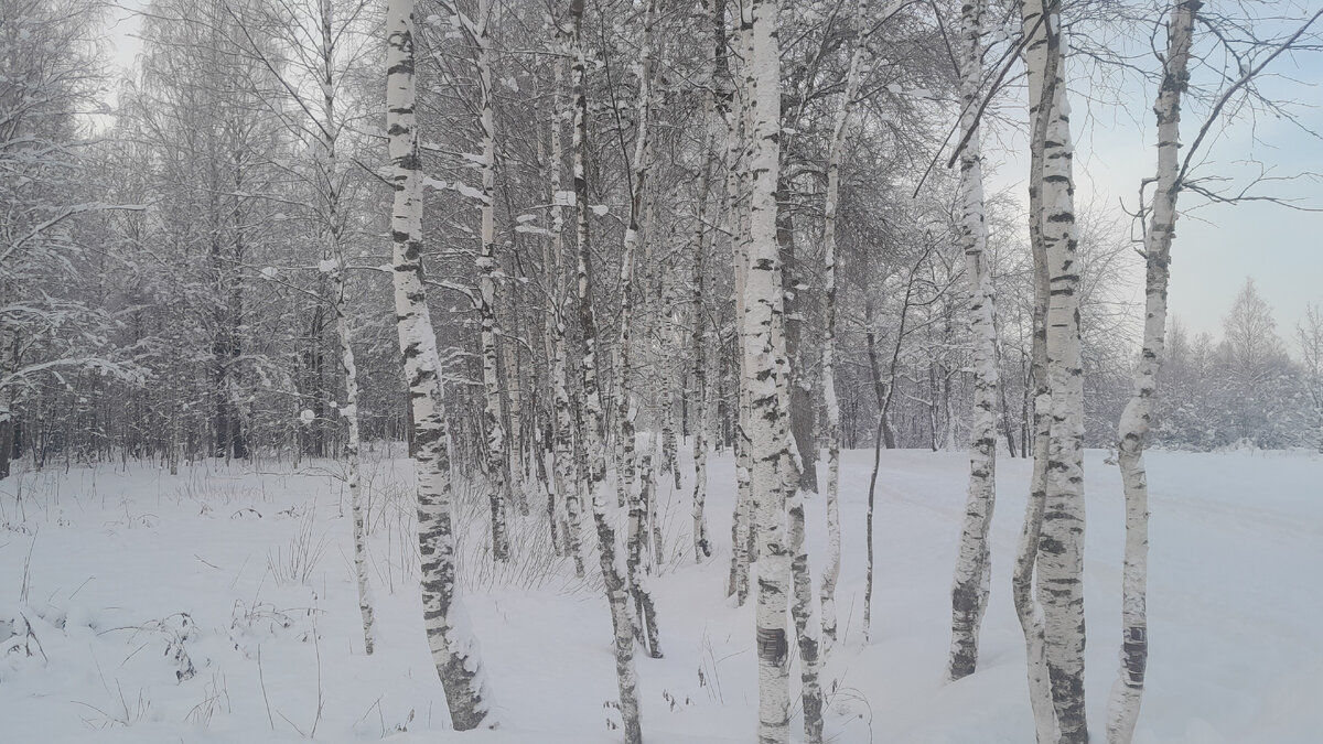 Фото Ирины Одарчук Паули