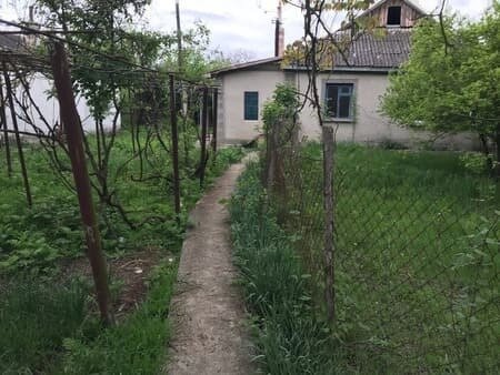 Фото из интернета для иллюстрации